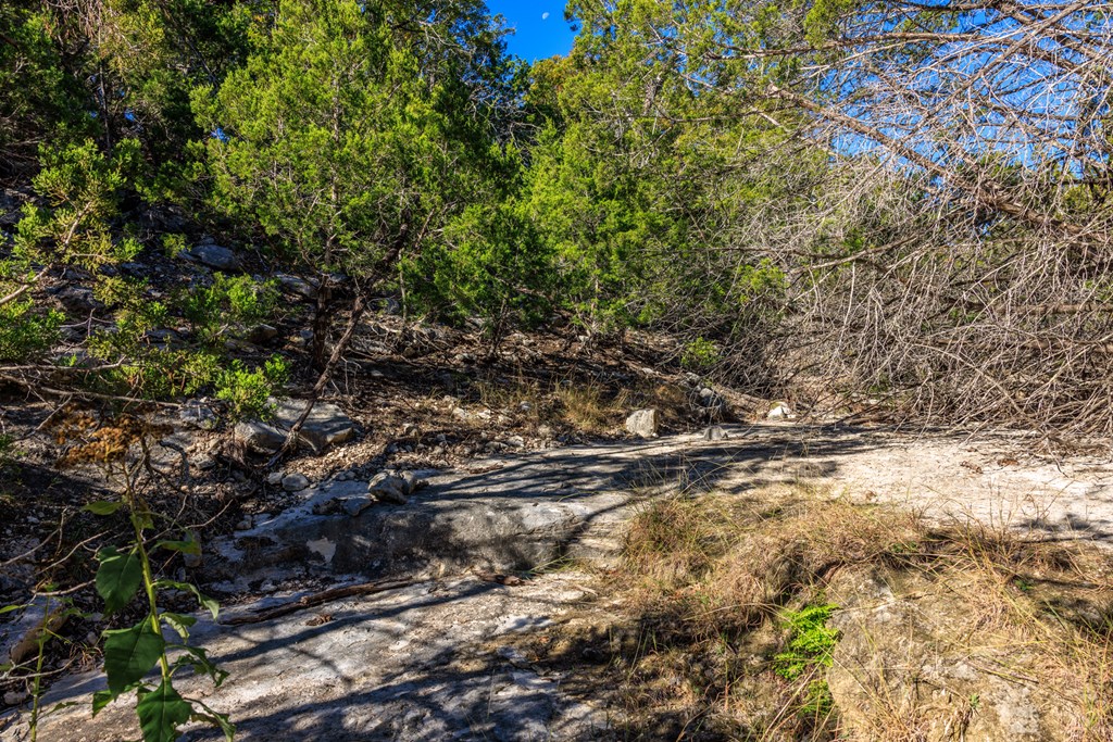 Lot 20 Mayers Ridge Dr