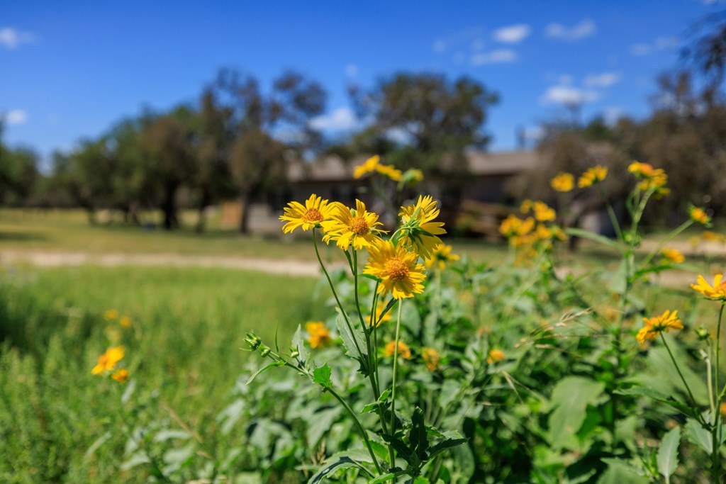 429 Spanish Oak Trail