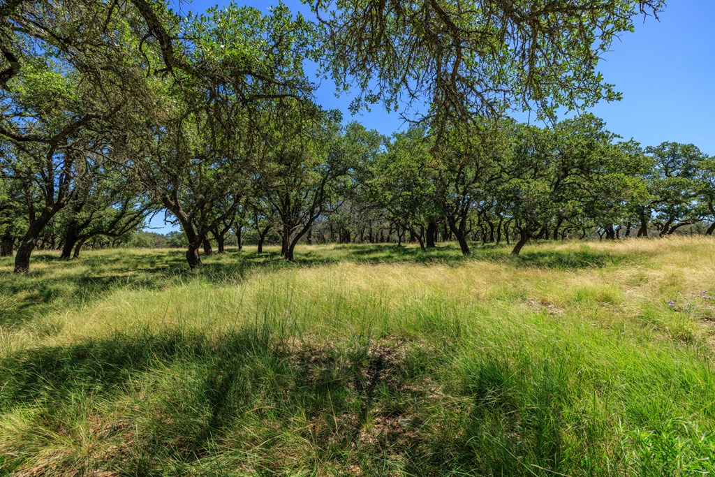 429 Spanish Oak Trail