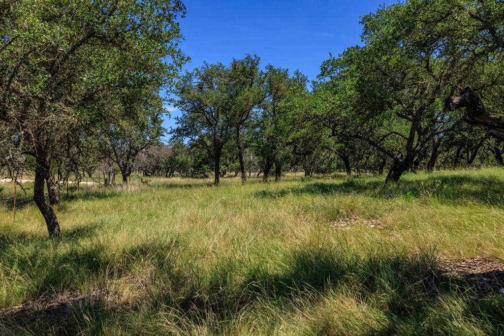 429 Spanish Oak Trail