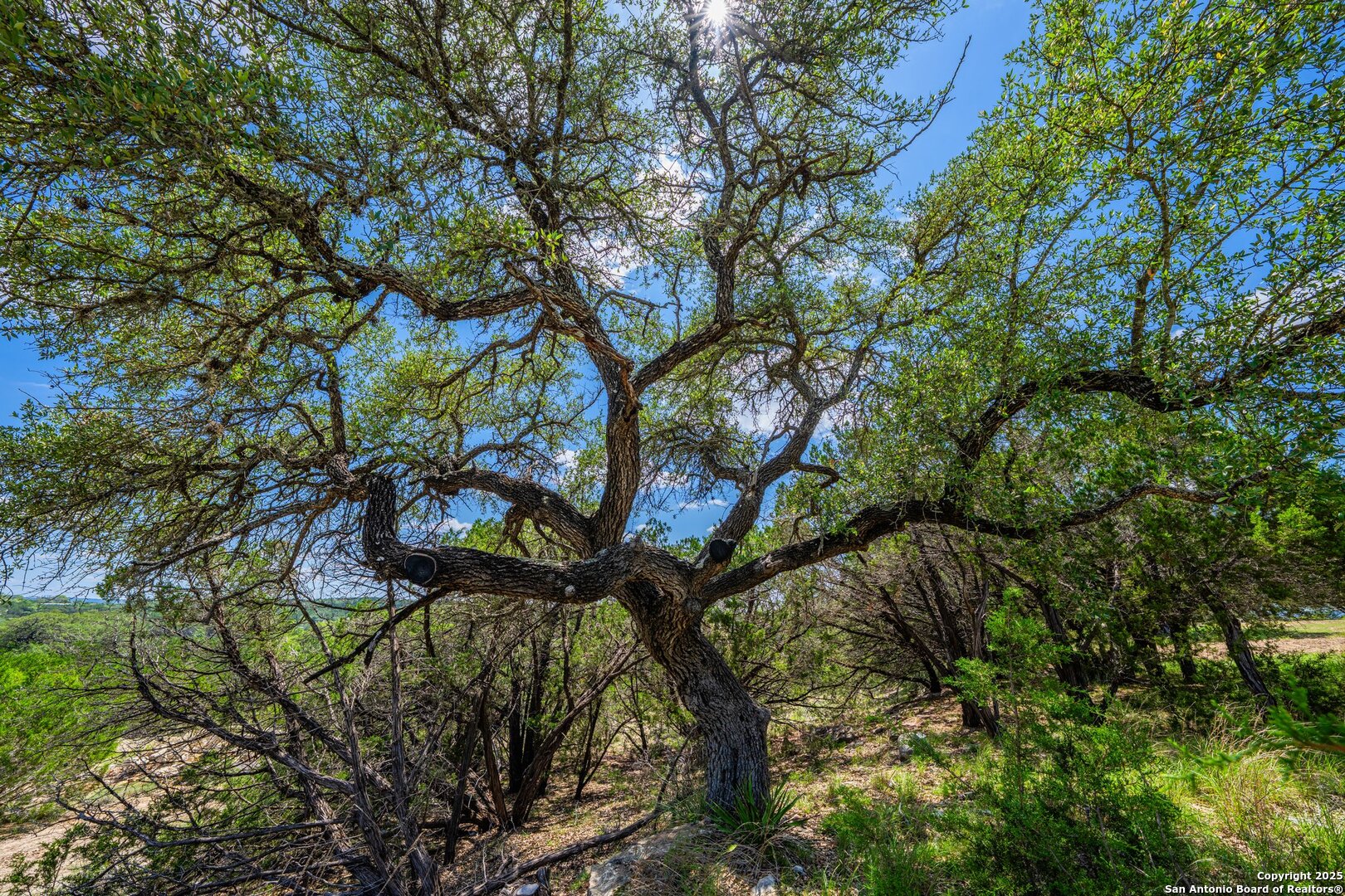 106 Mesquite Trail