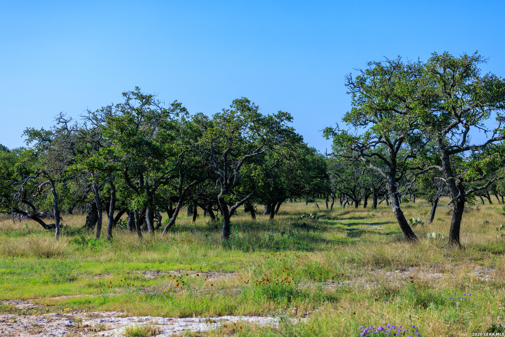 481 Living Water Ranch Rd.