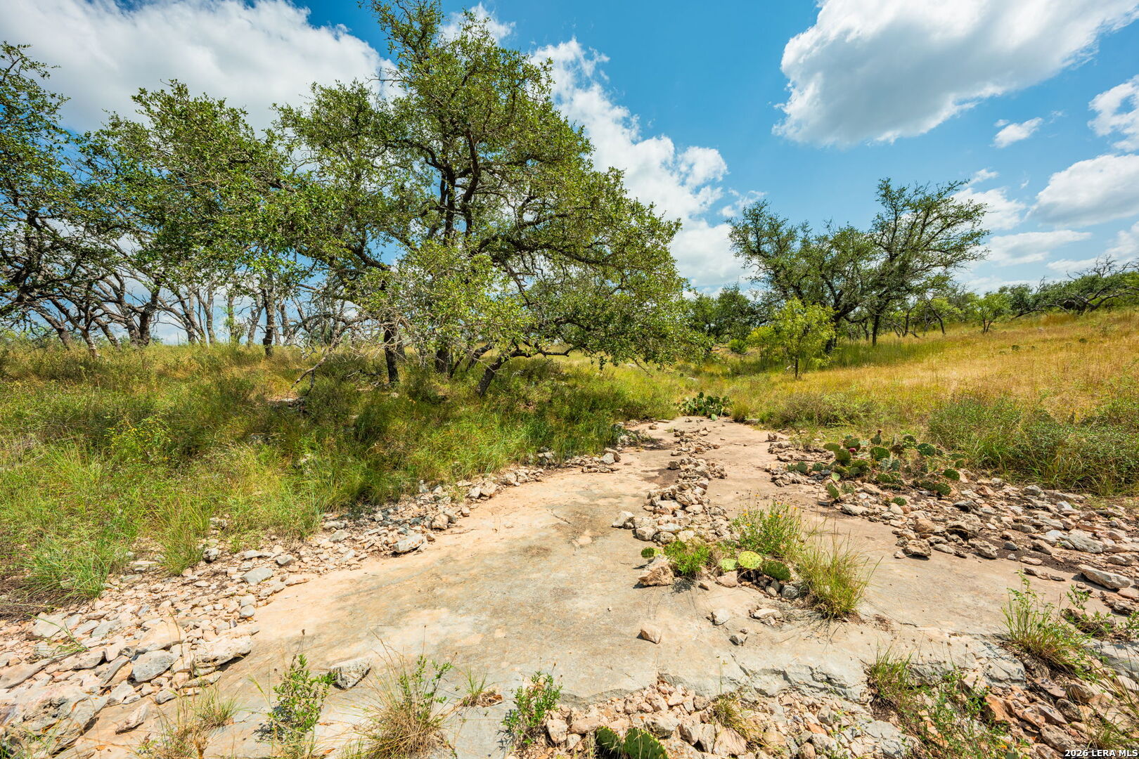1445 Cave Wells Rd.