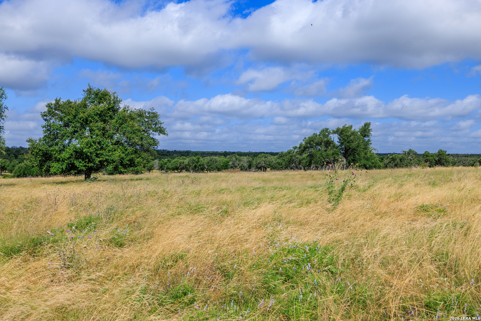 436 Stevens Ranch