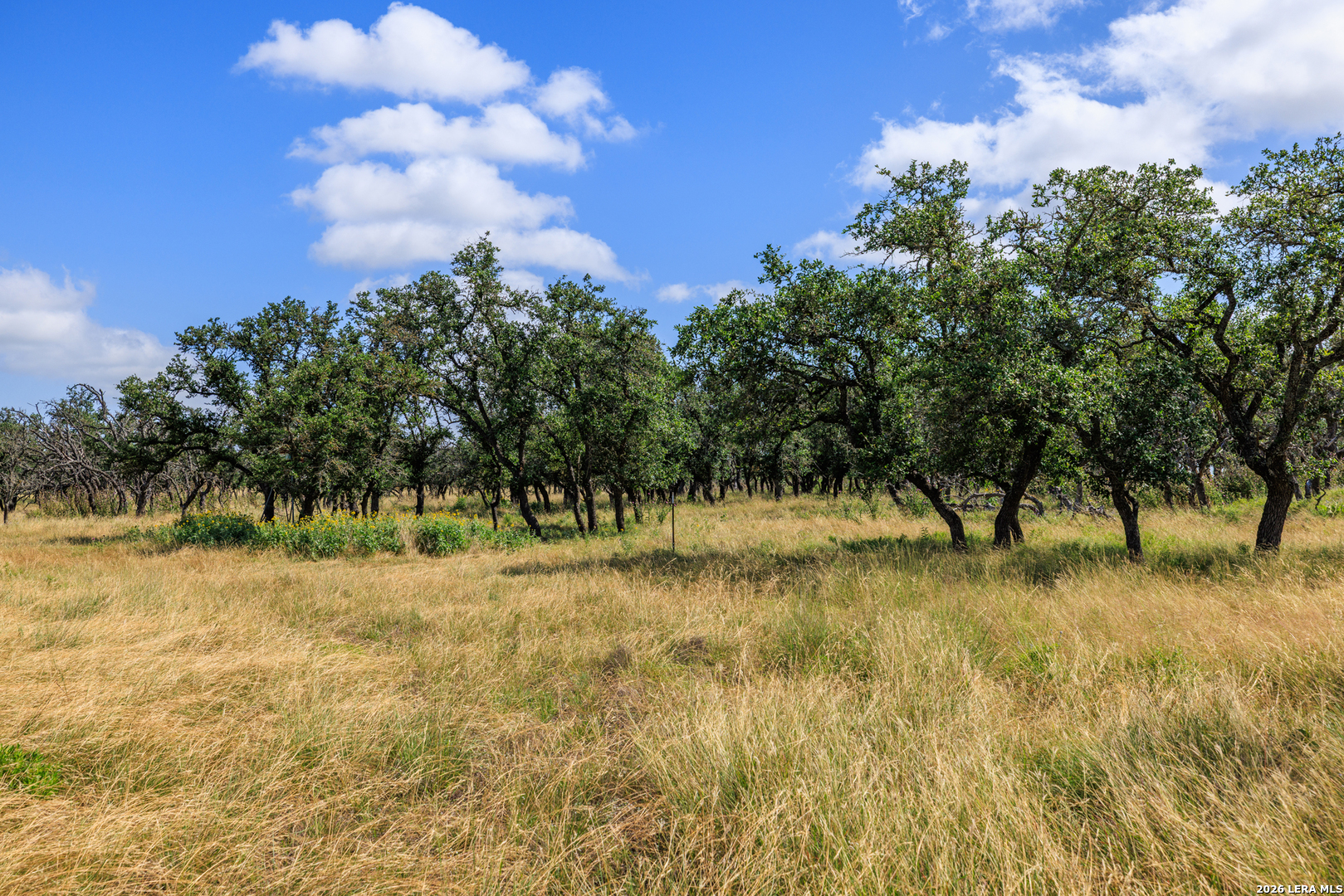 436 Stevens Ranch