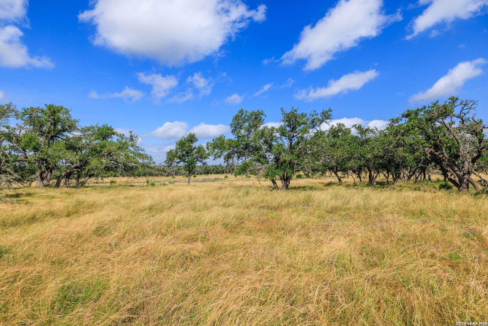 436 Stevens Ranch