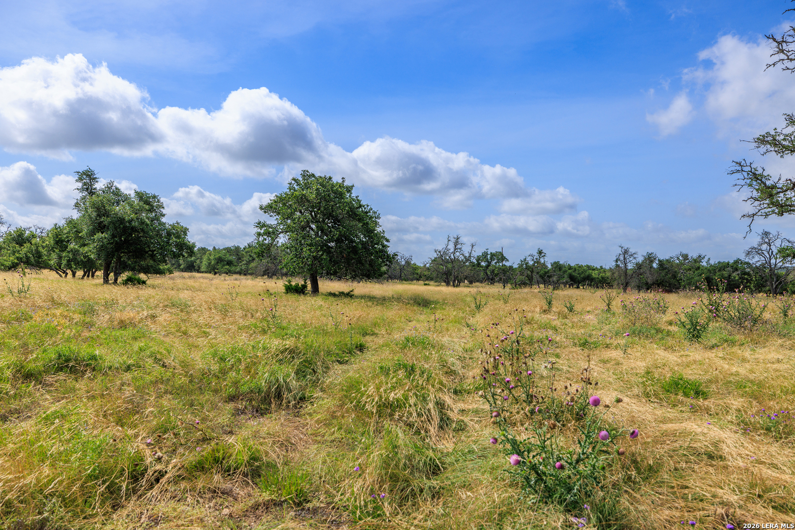 436 Stevens Ranch