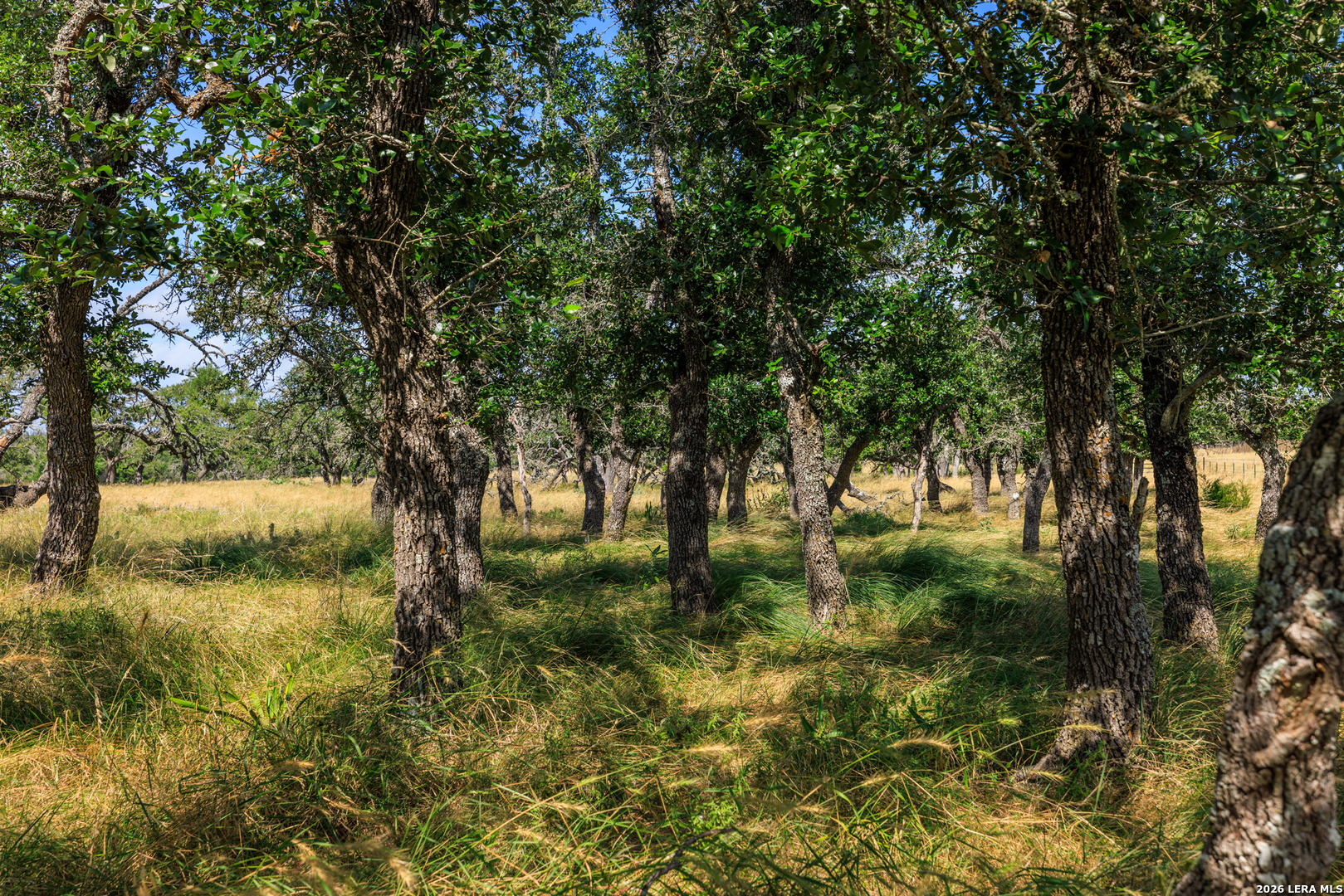 436 Stevens Ranch