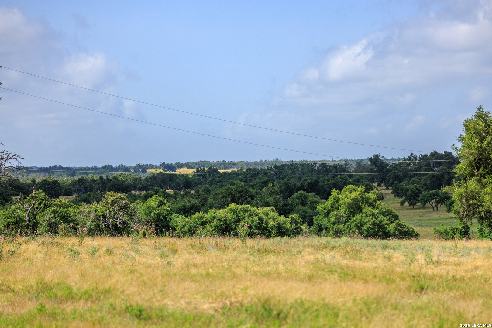 436 Stevens Ranch