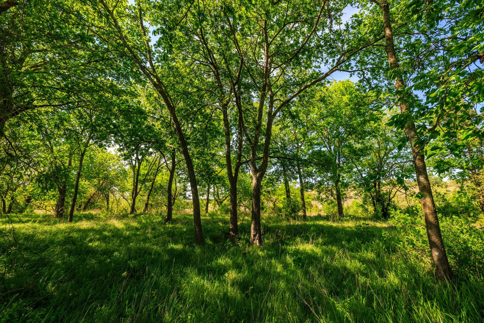 Lot 2 Byrd Ranch RD