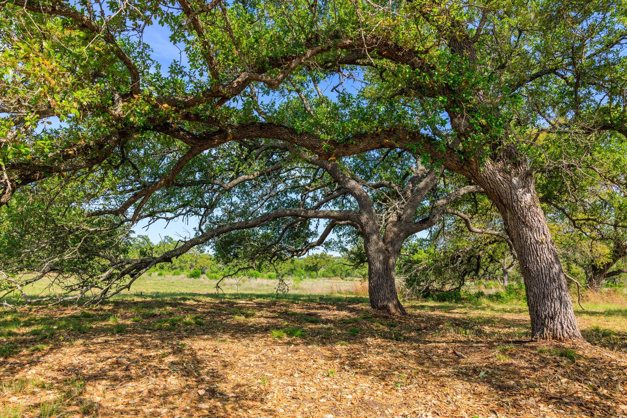 Lot 2 Byrd Ranch RD