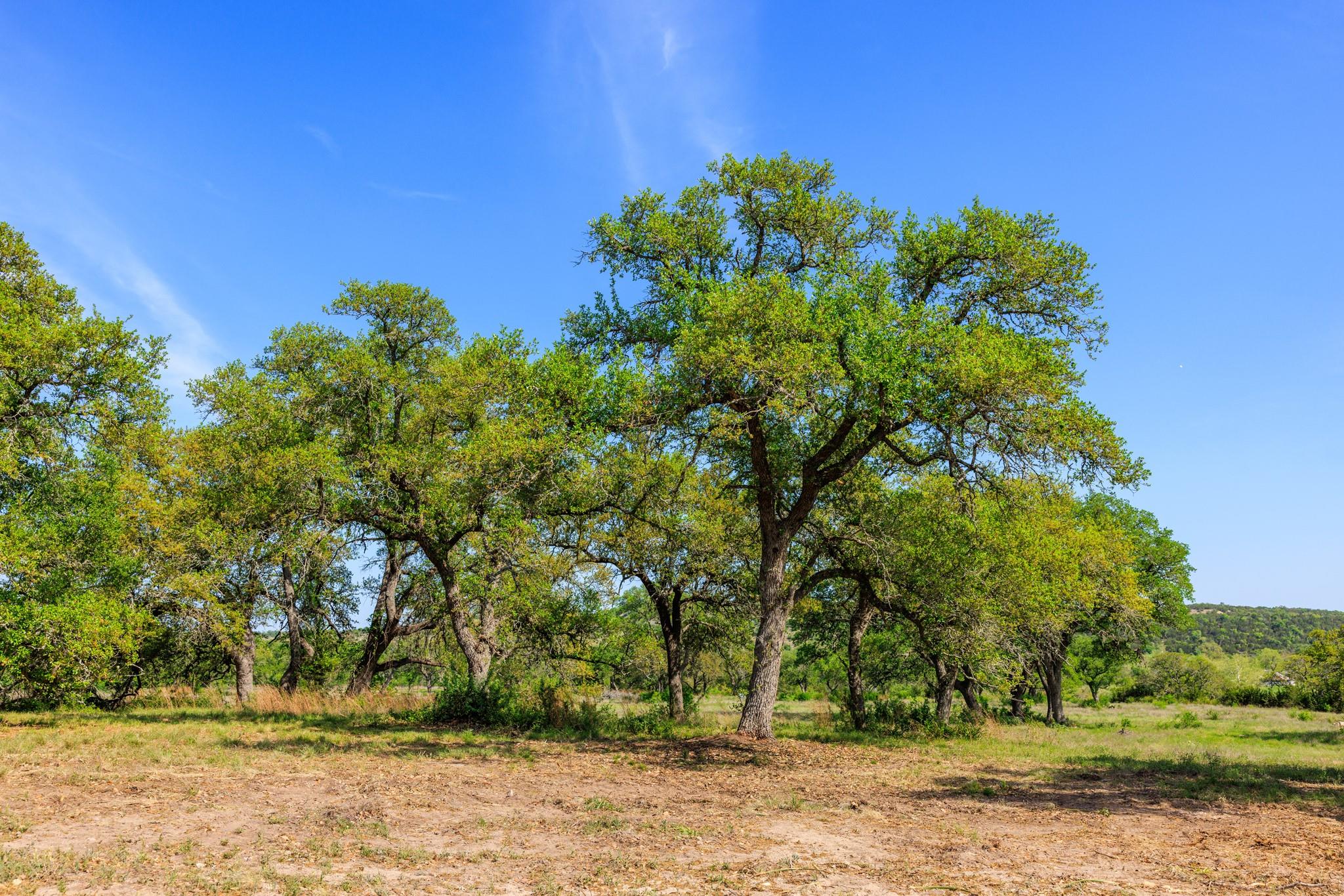 Lot 2 Byrd Ranch RD