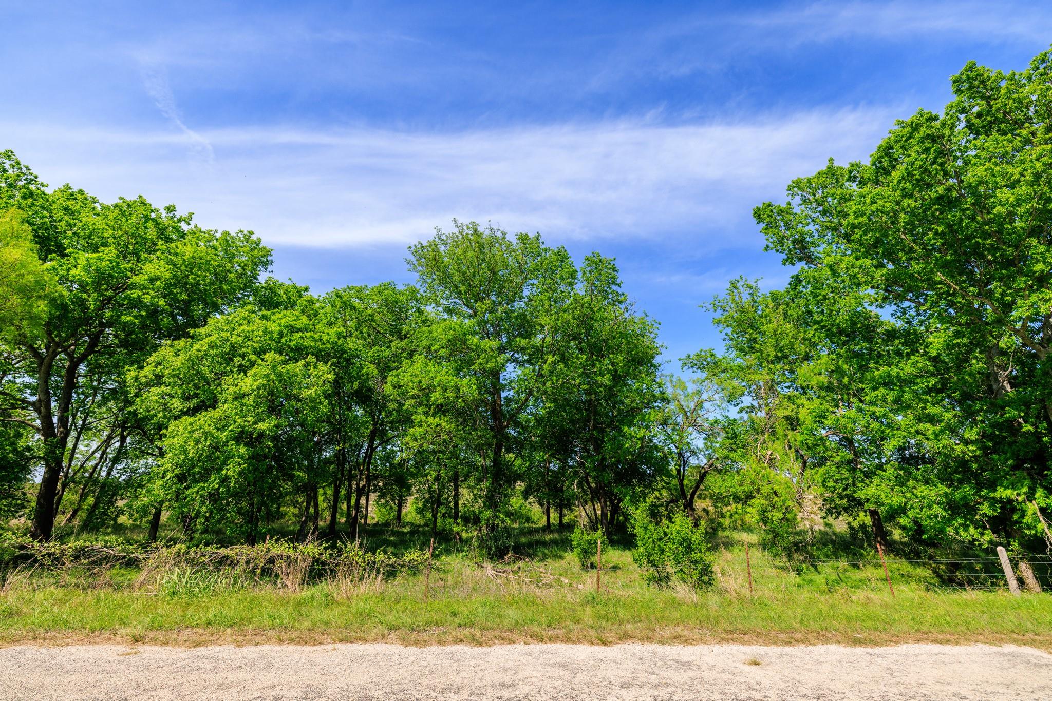 Lot 2 Byrd Ranch RD