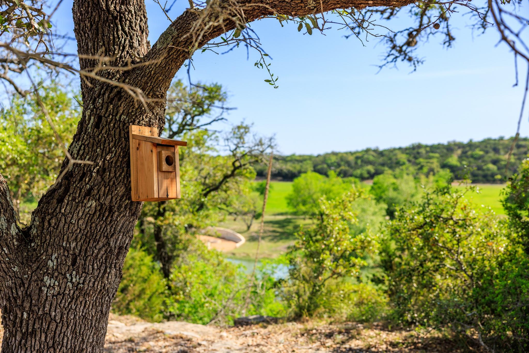Lot 2 Byrd Ranch RD
