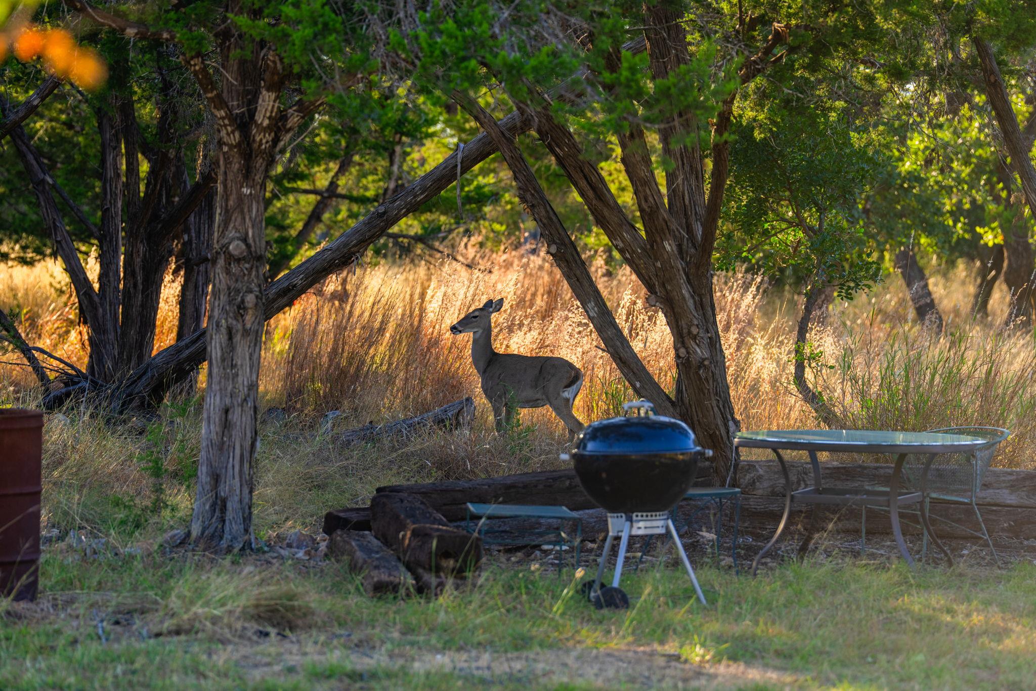 716 Reeh Weinheimer RD