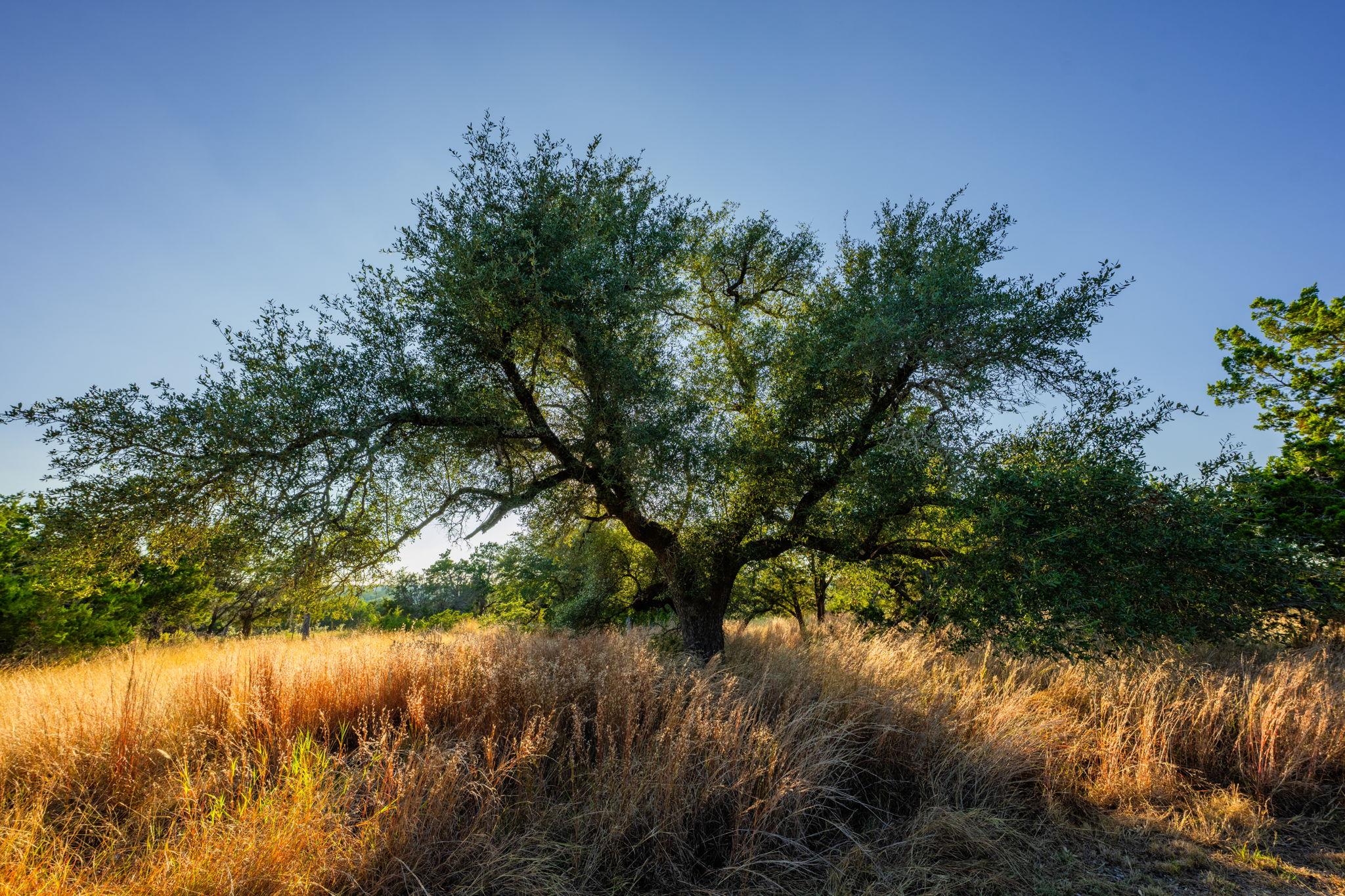 716 Reeh Weinheimer RD