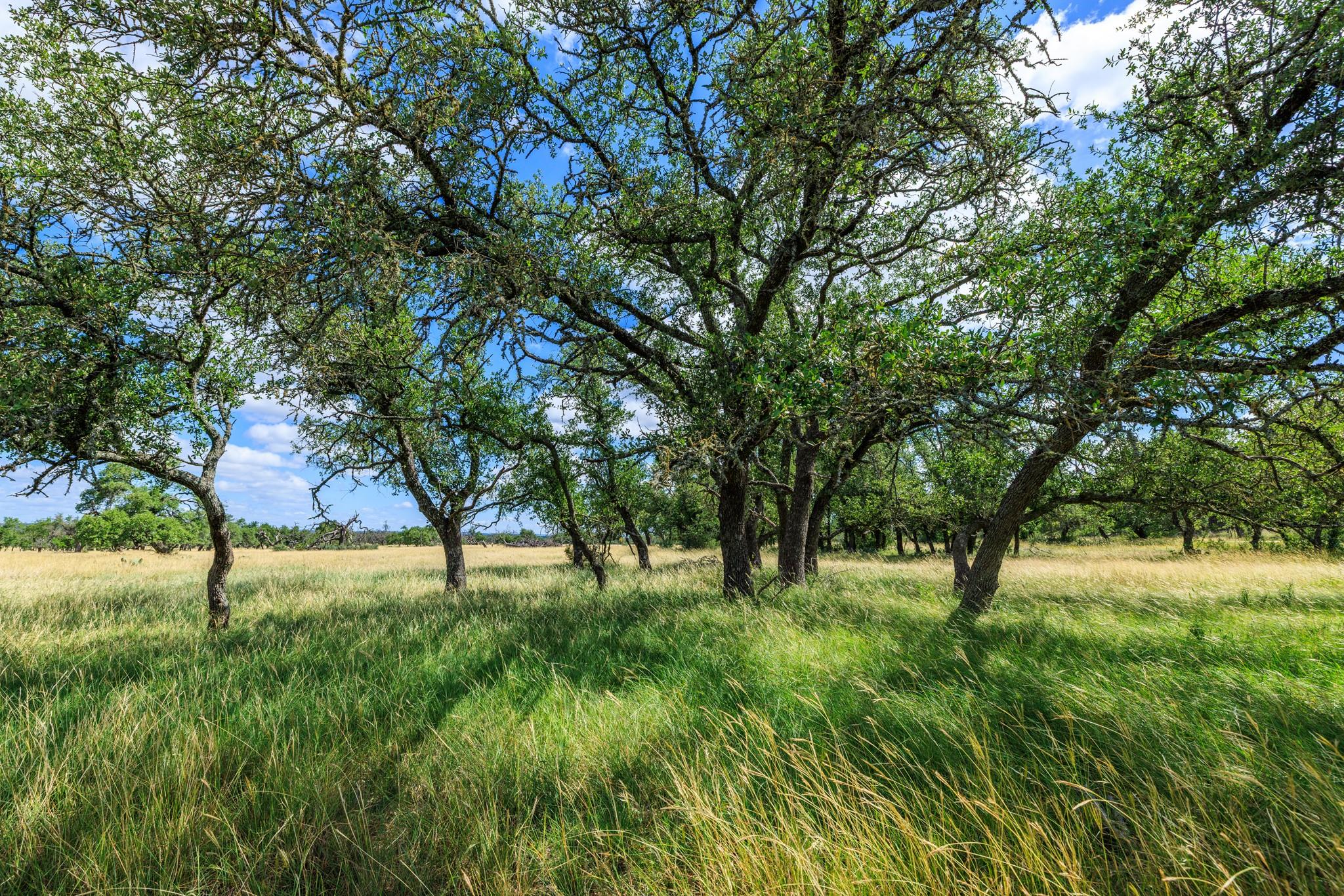 Lot 94 Stock Pond DR