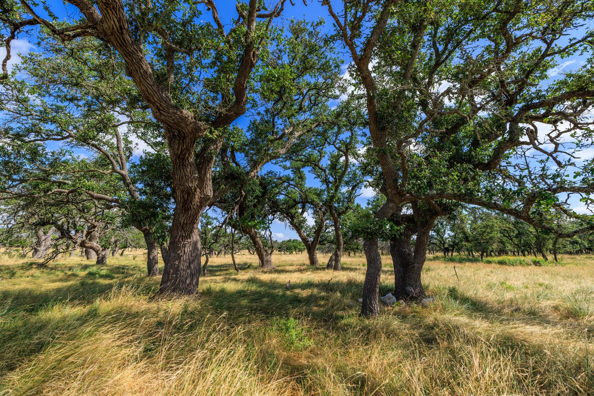436 Stevens Ranch RD