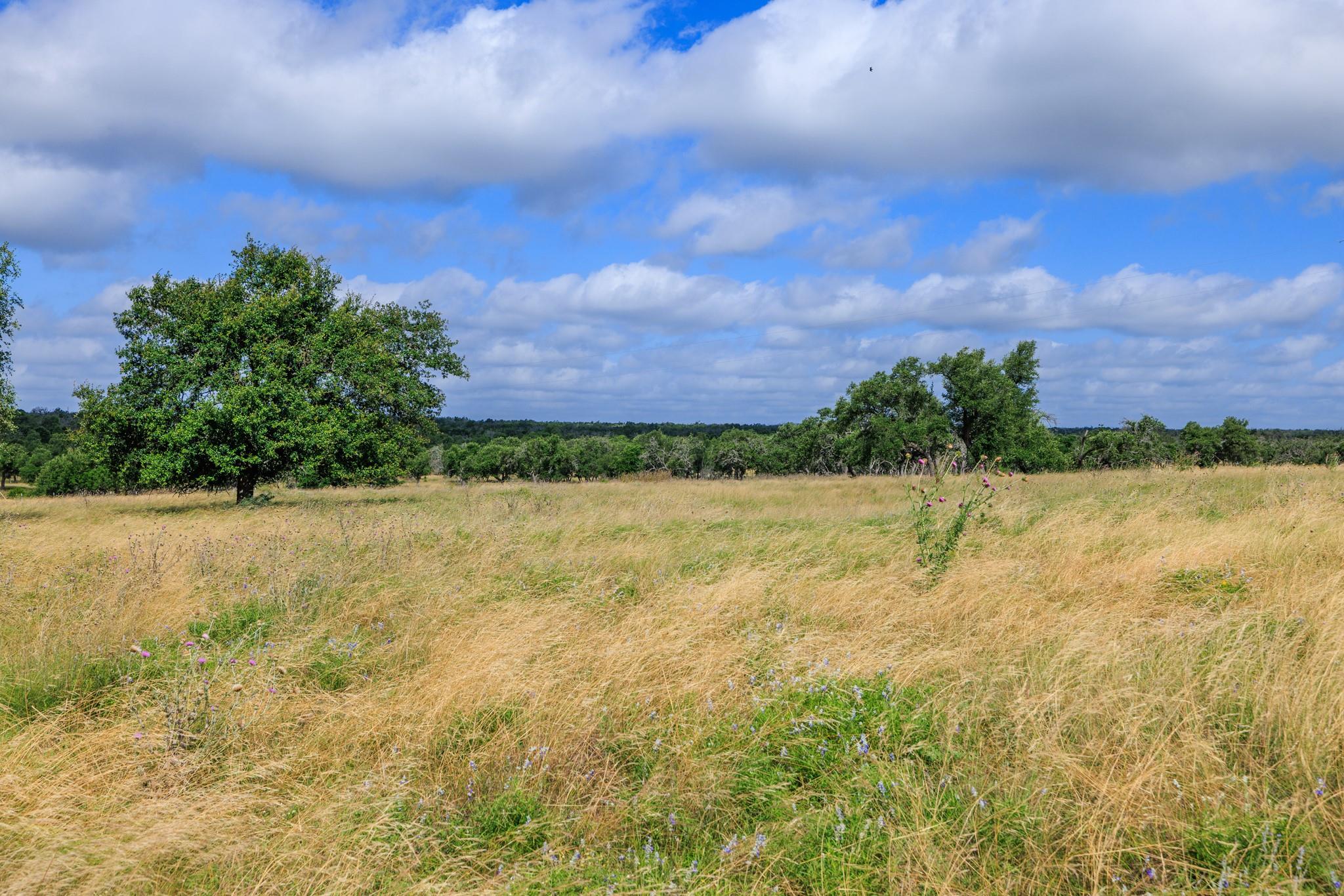 436 Stevens Ranch RD