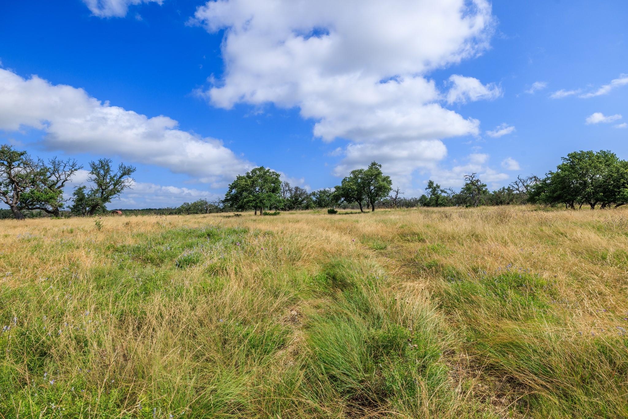 436 Stevens Ranch RD