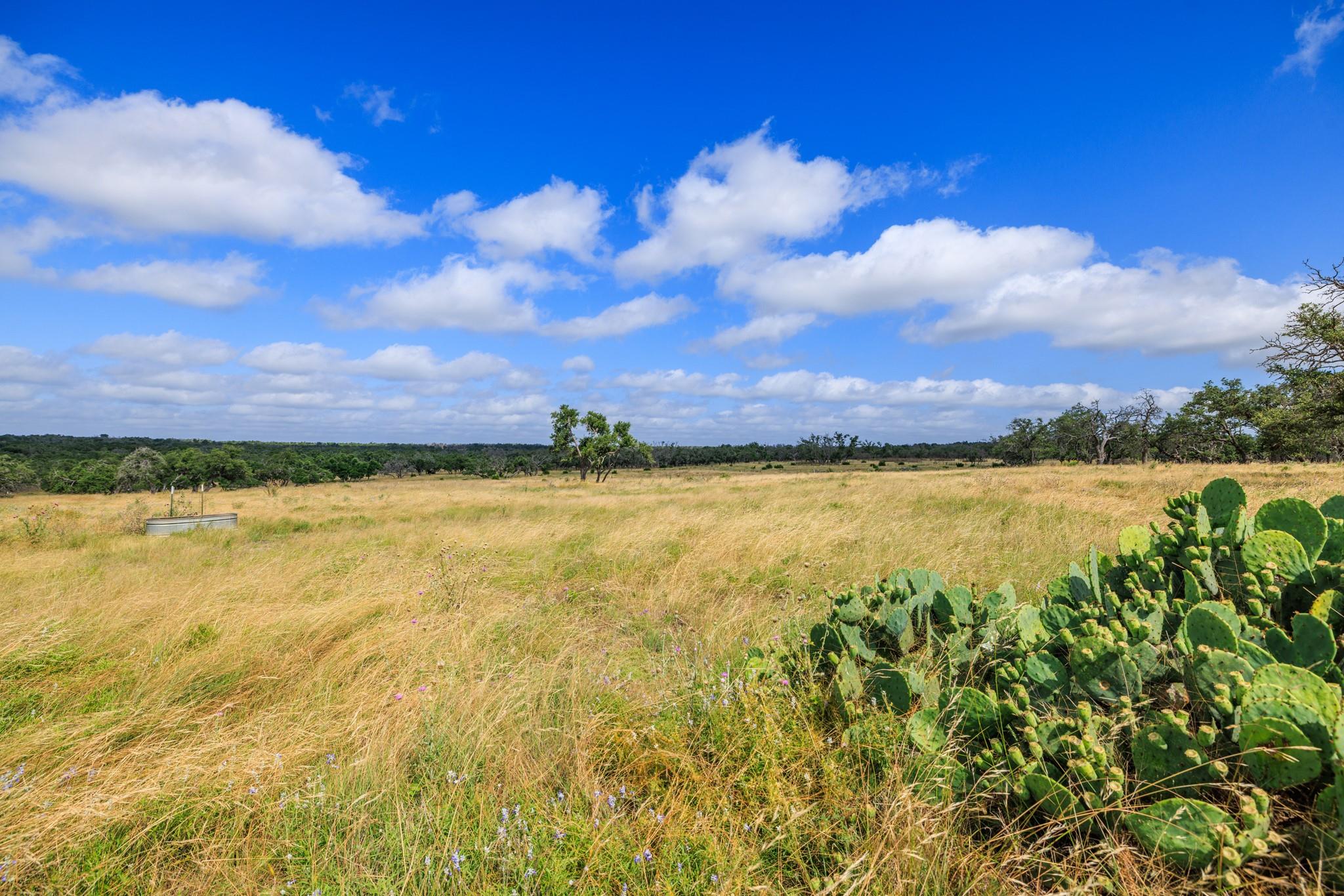 436 Stevens Ranch RD