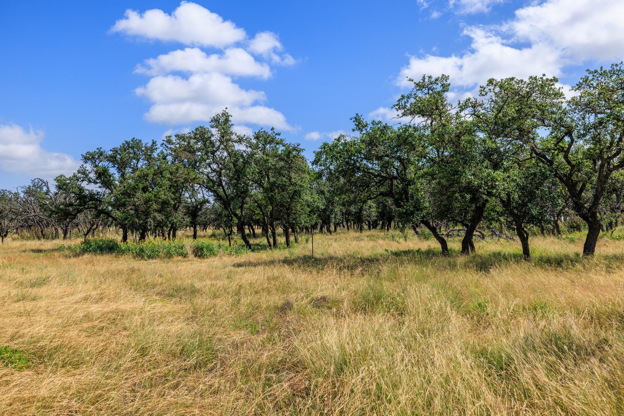 436 Stevens Ranch RD