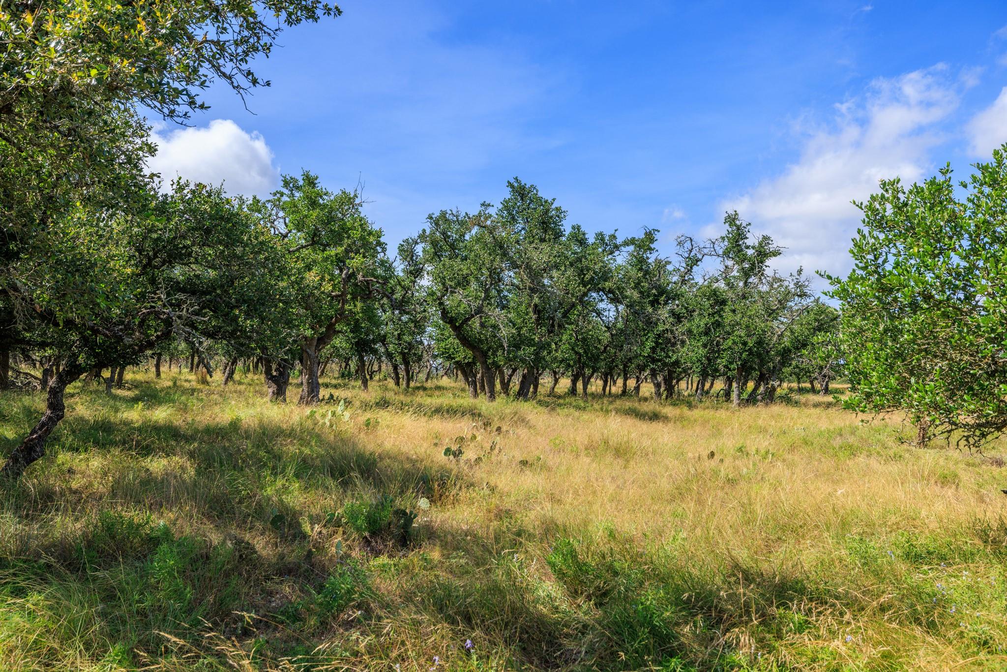 436 Stevens Ranch RD