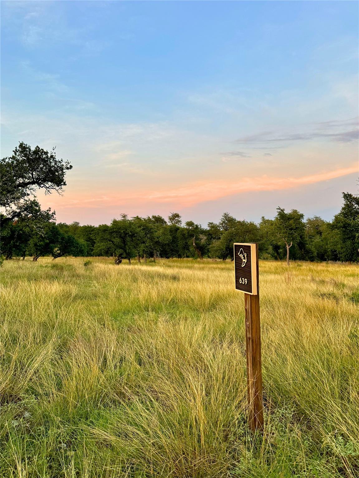 Lot 639 Beretta DR