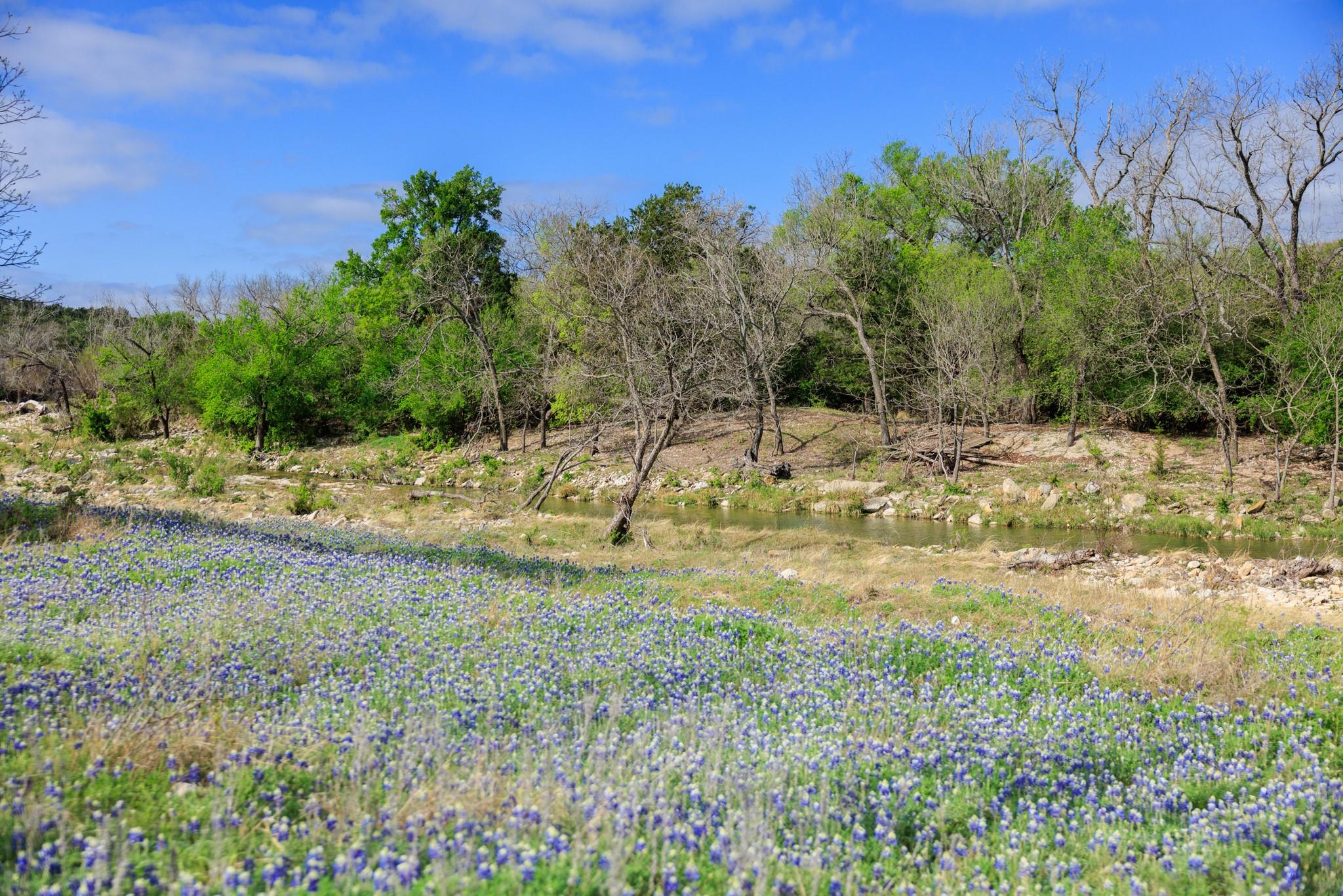 10250 E Fm 501