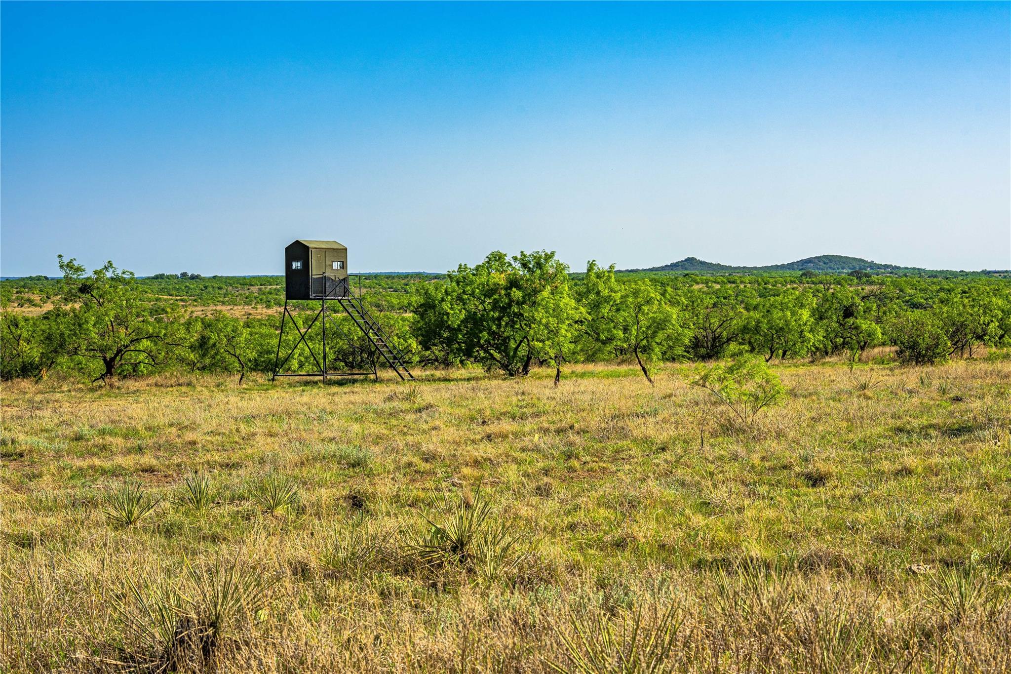 701 County Road 496