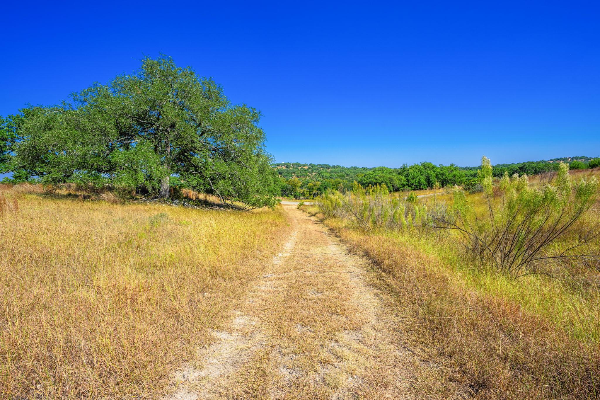 1495 Walnut Springs RD