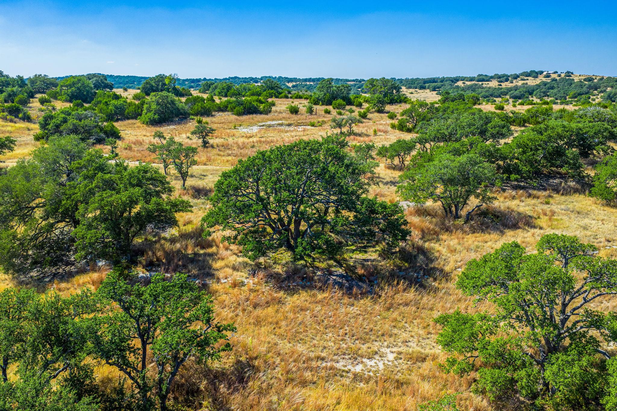 1495 Walnut Springs RD