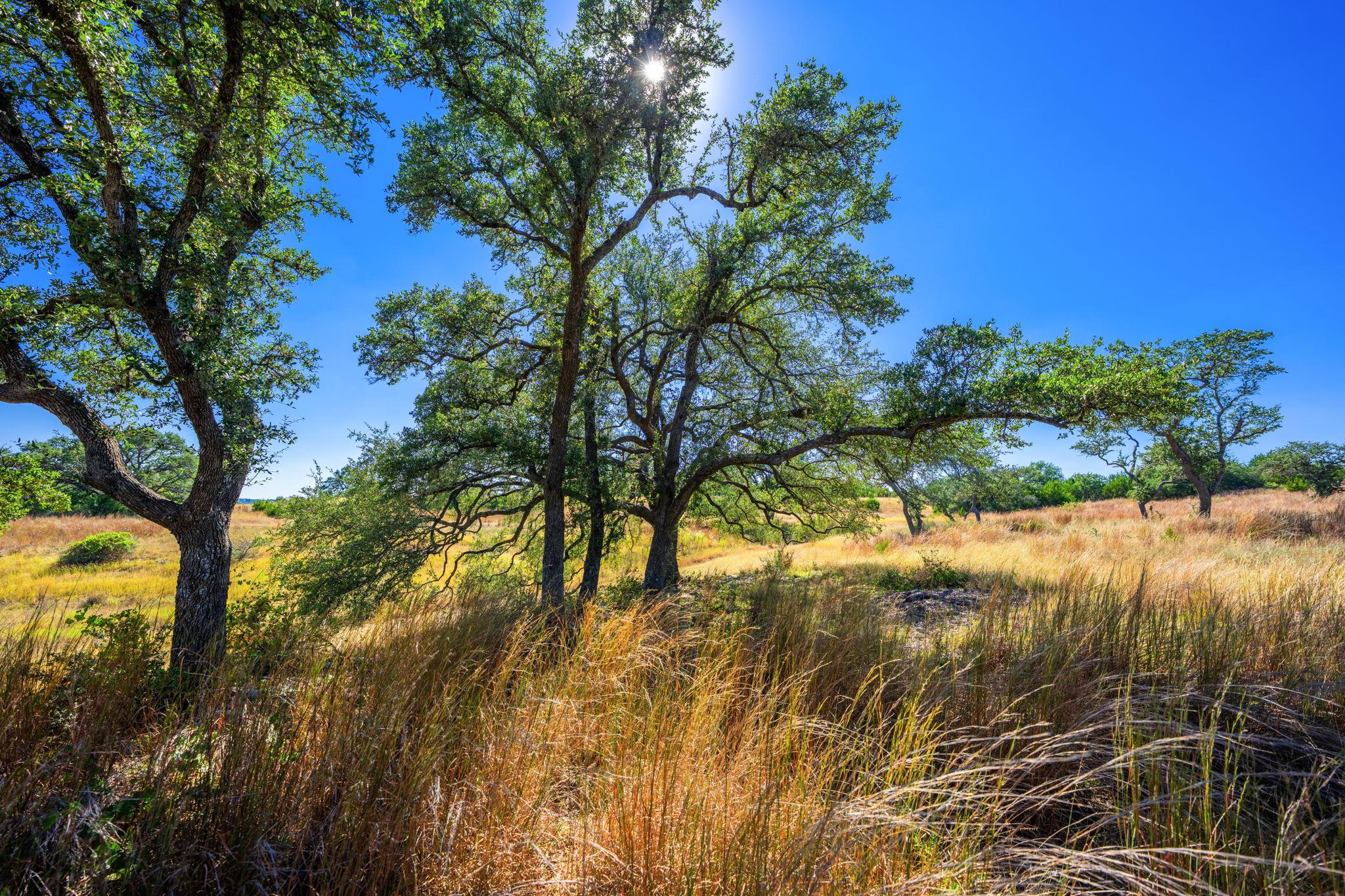 1495 Walnut Springs RD