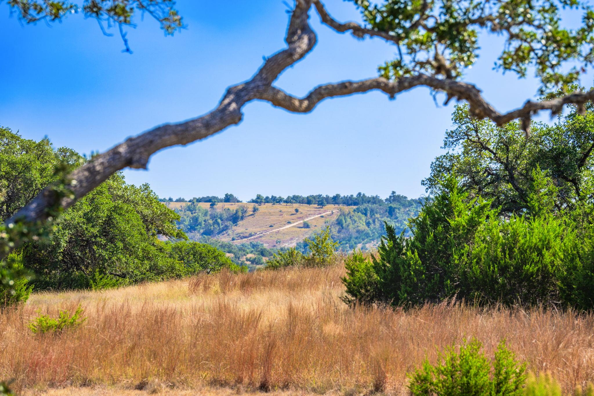 1495 Walnut Springs RD