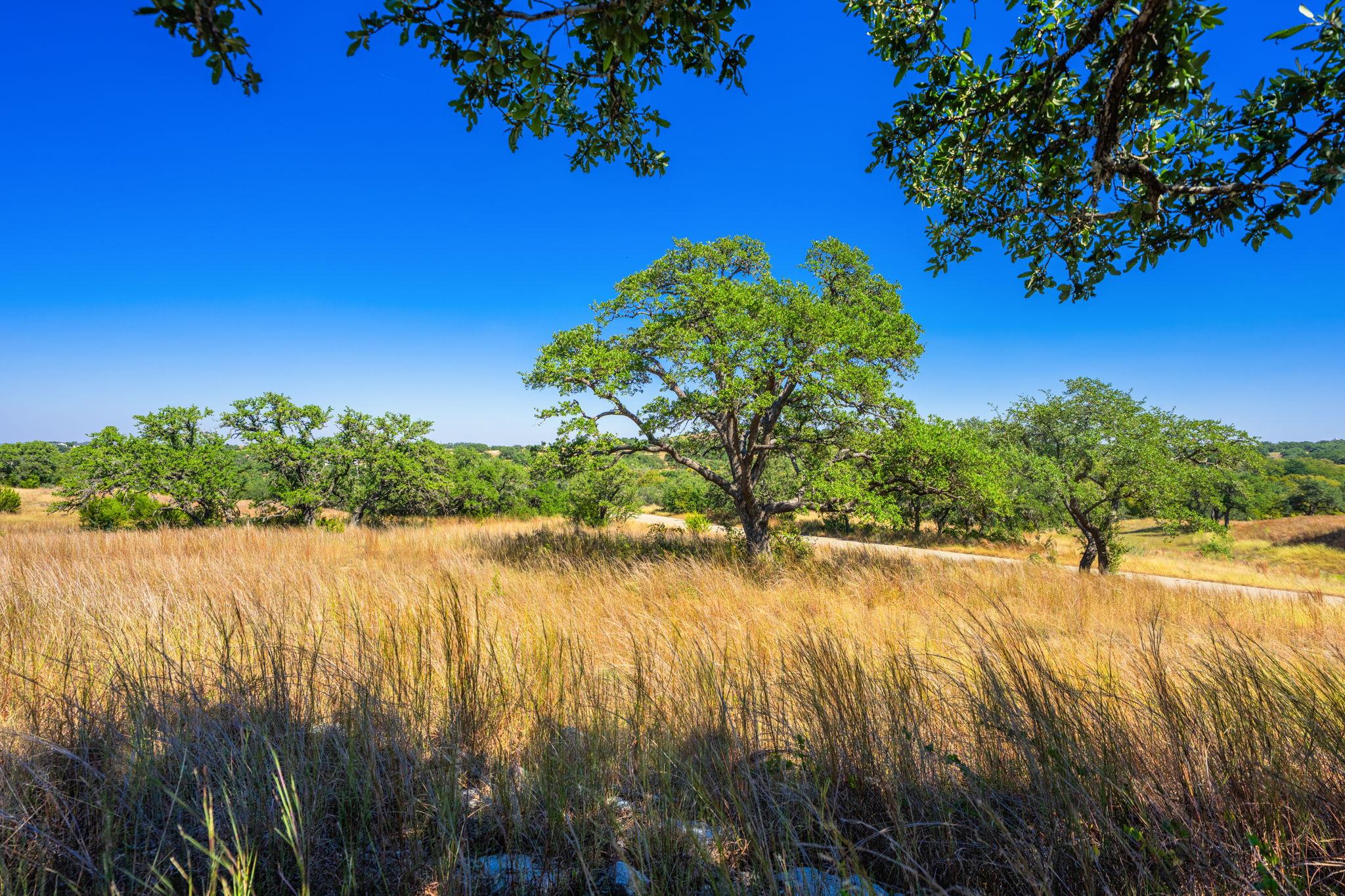 1495 Walnut Springs RD