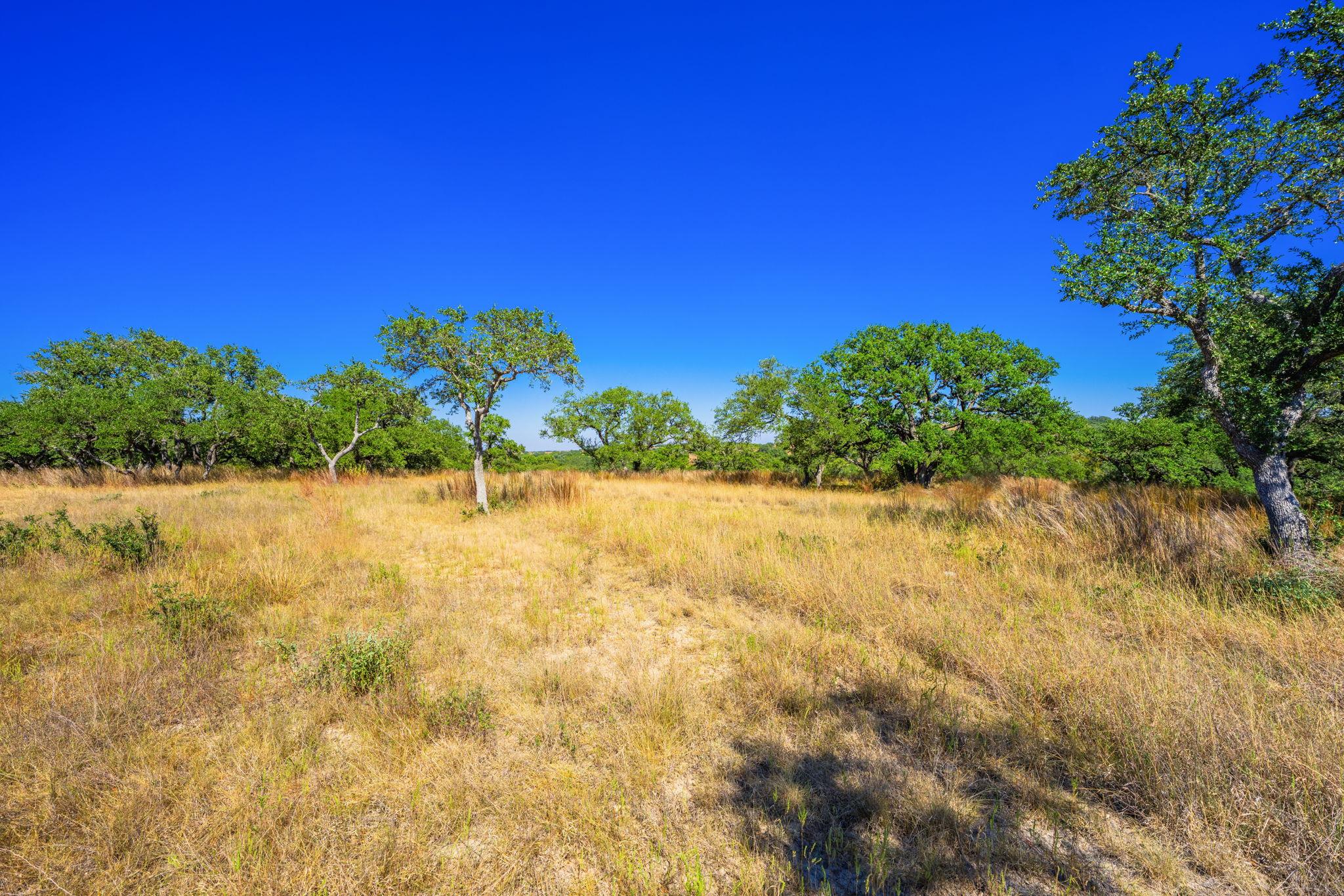 1495 Walnut Springs RD