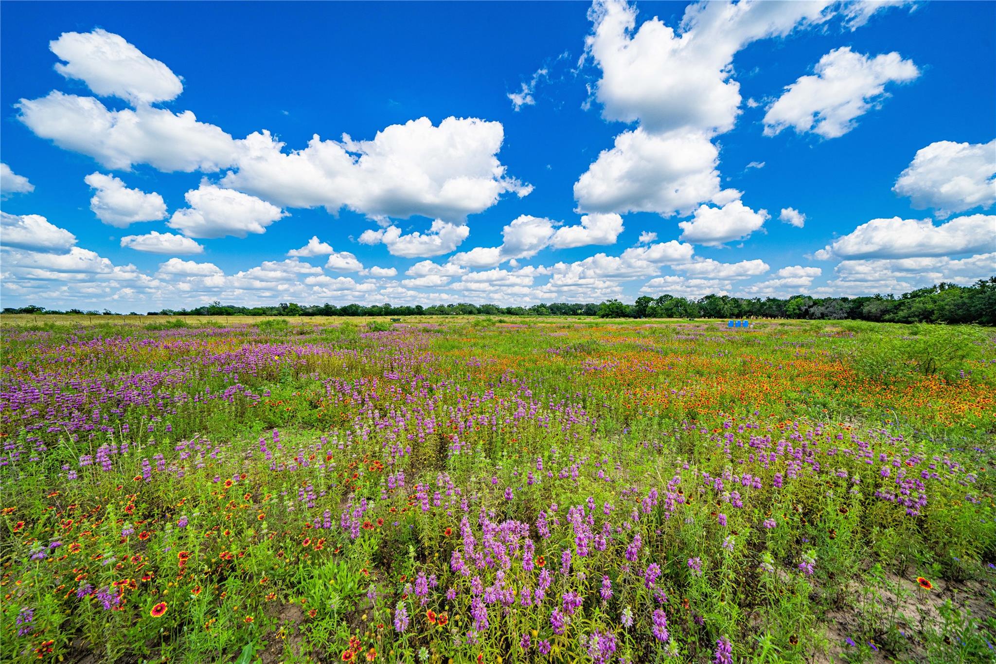 11290 E US Highway 290