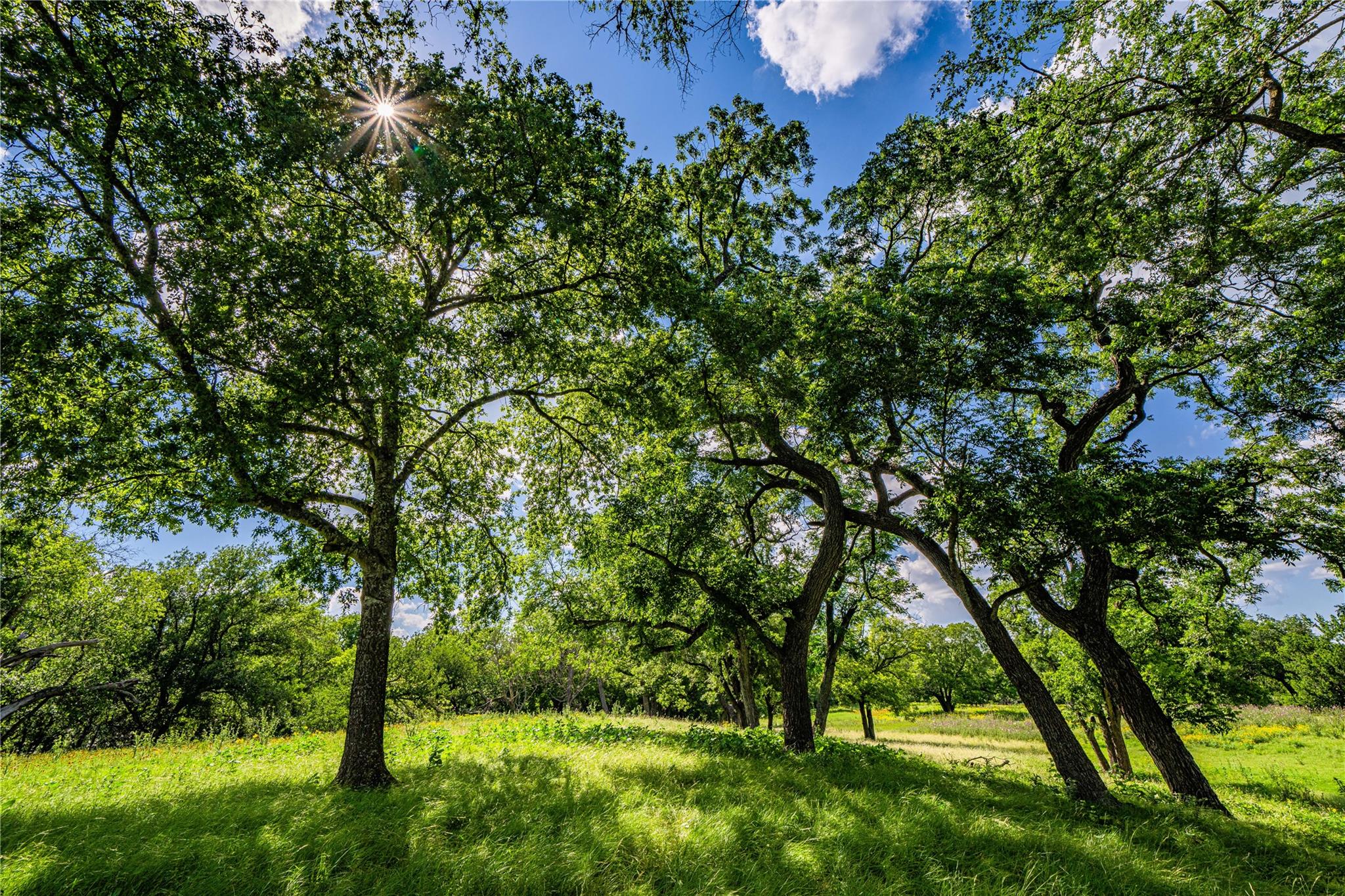 11290 E US Highway 290