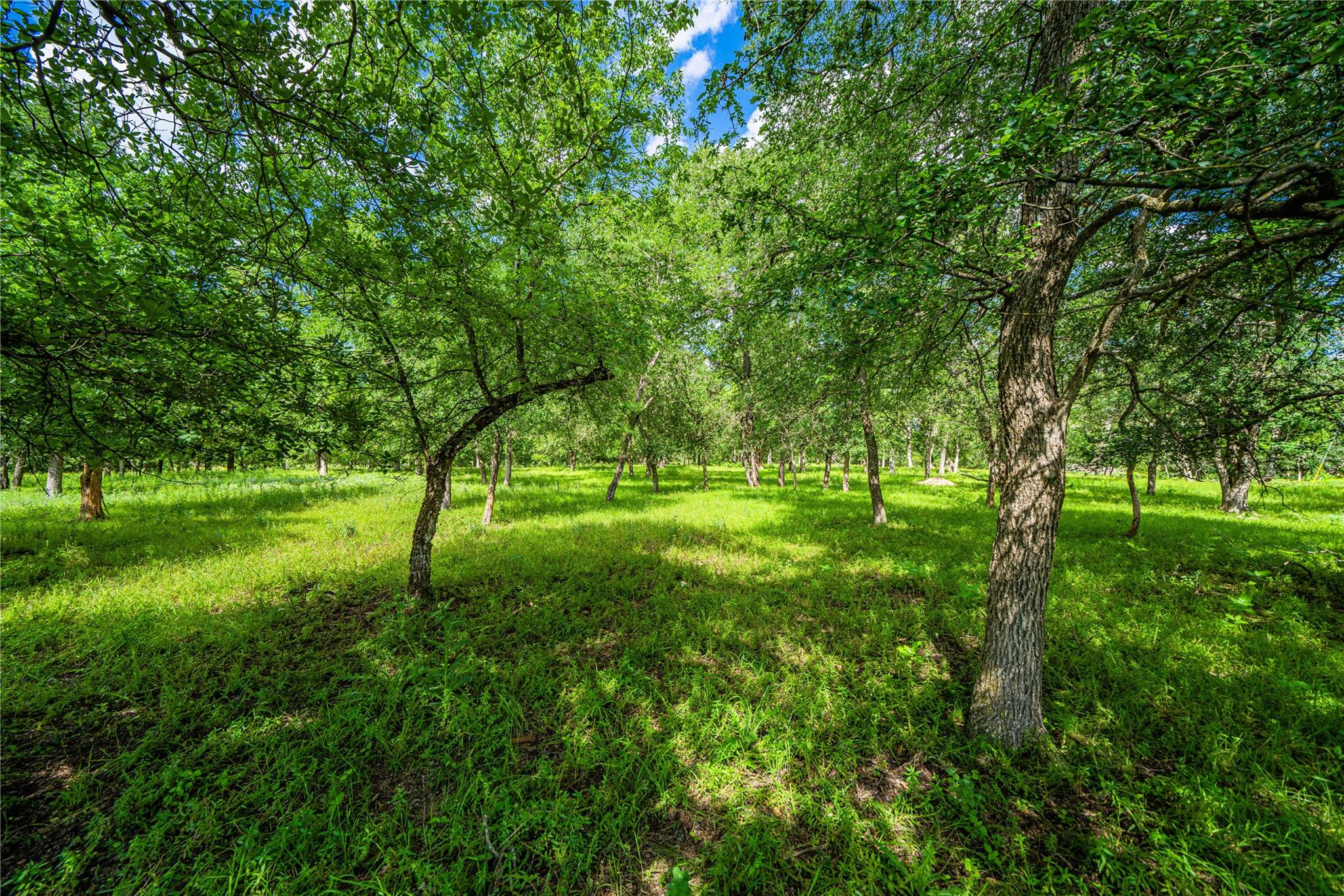11290 E US Highway 290