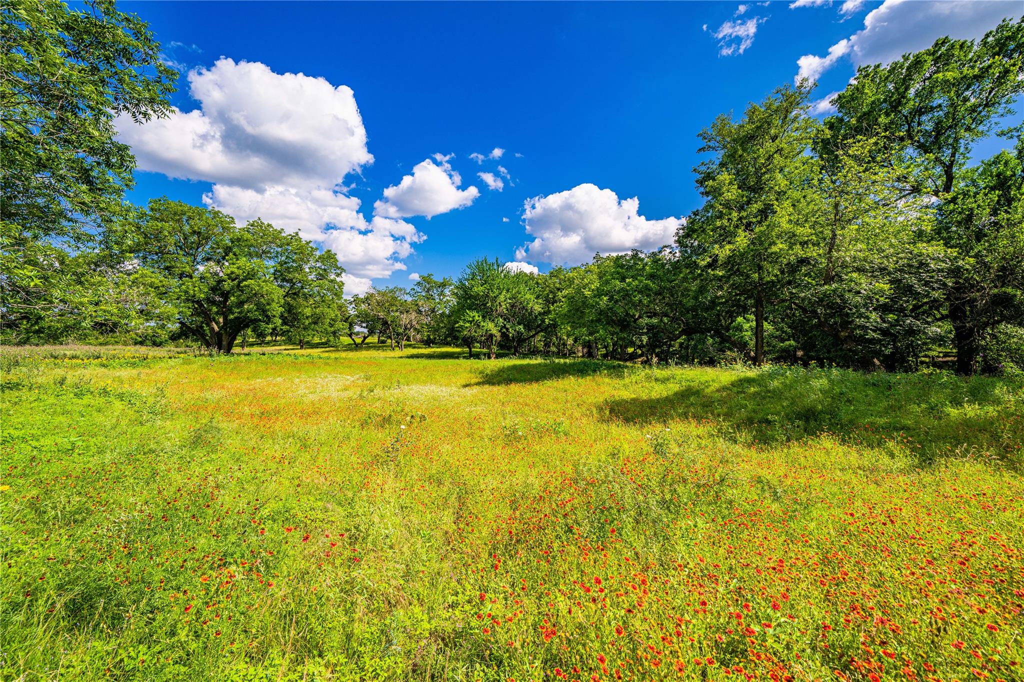 11290 E US Highway 290