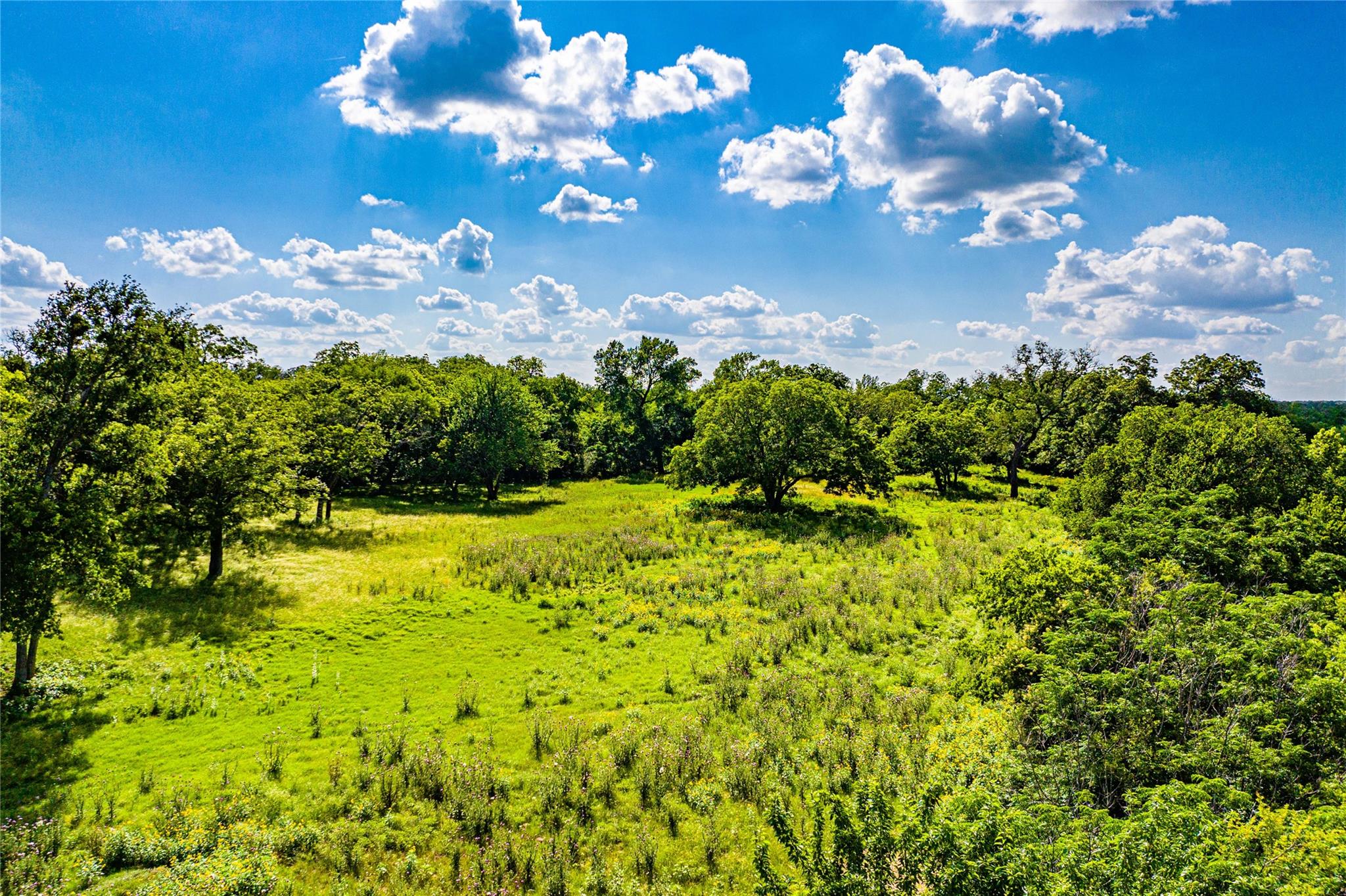 11290 E US Highway 290