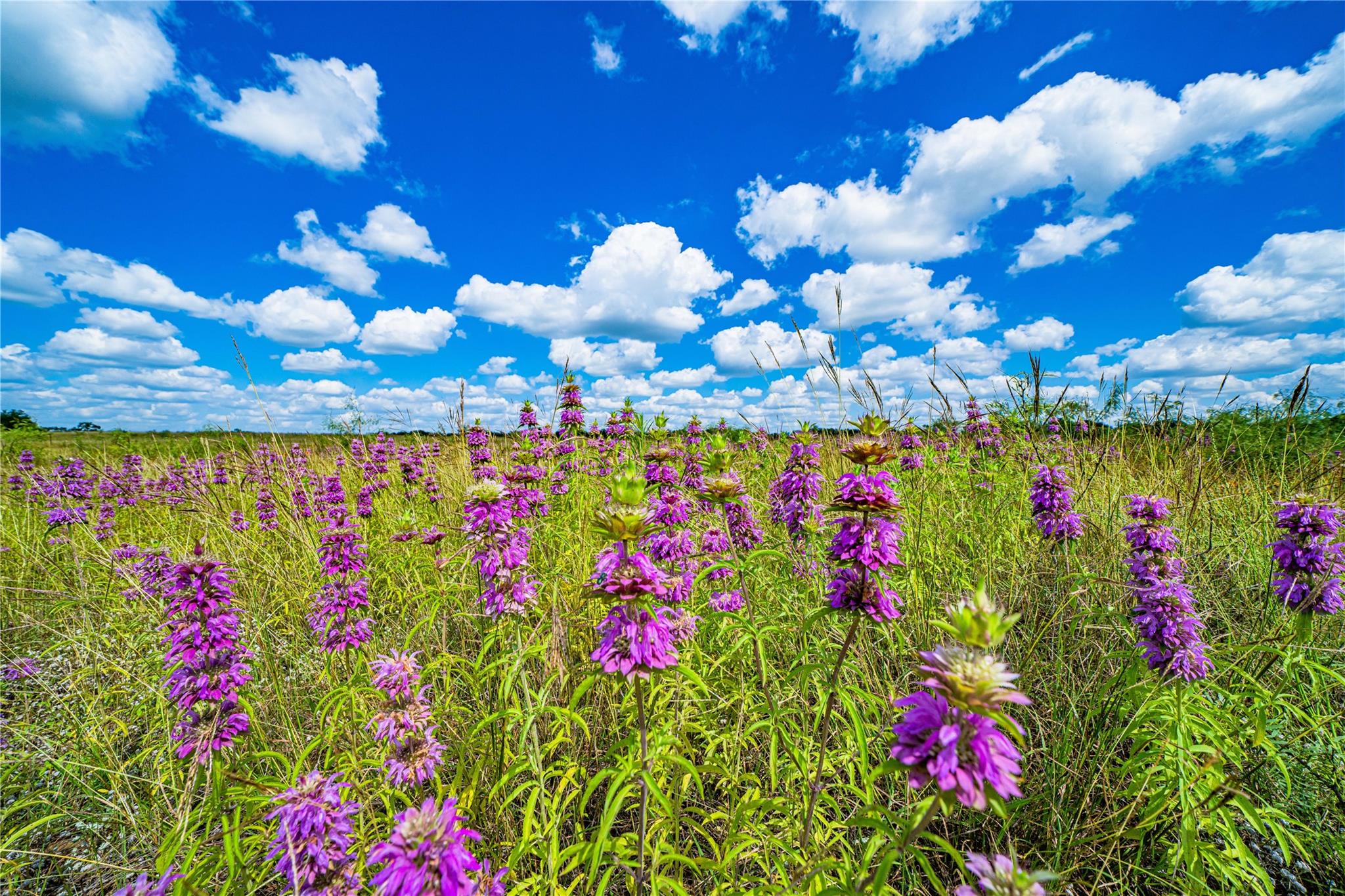 11290 E US Highway 290
