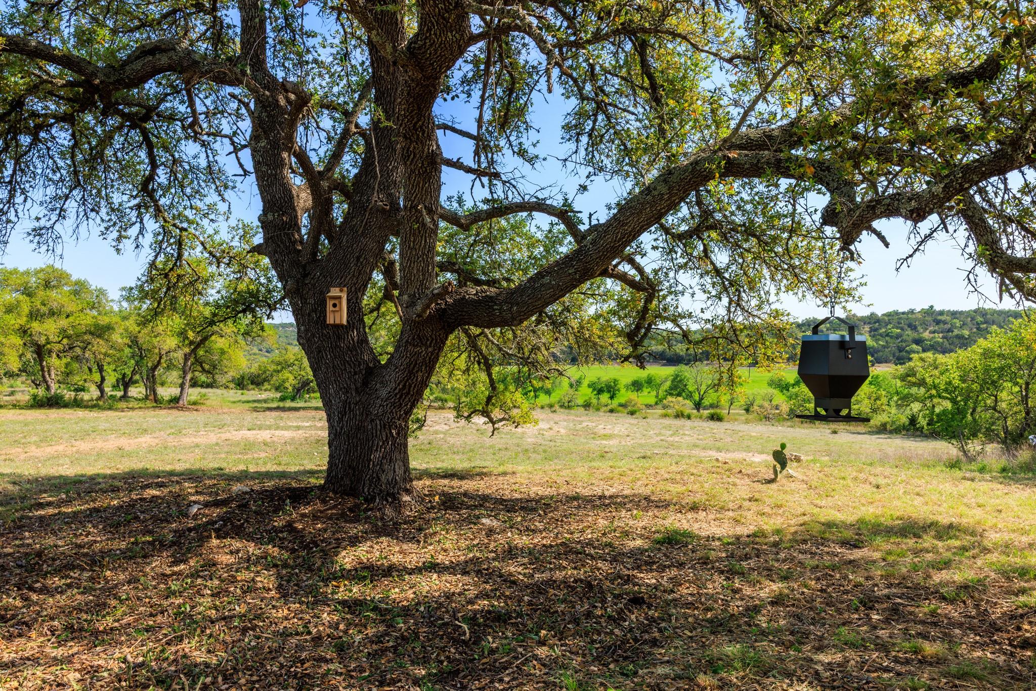 Lot 2 Byrd Ranch RD