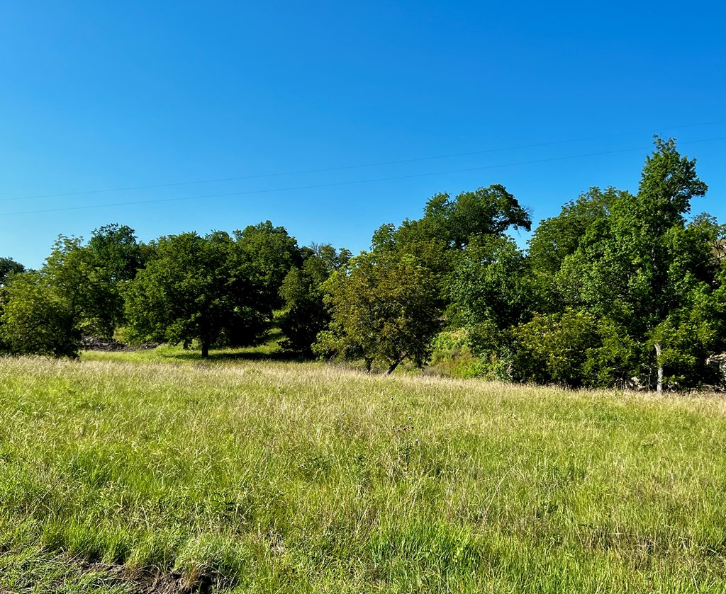 481 Living Water Ranch Rd