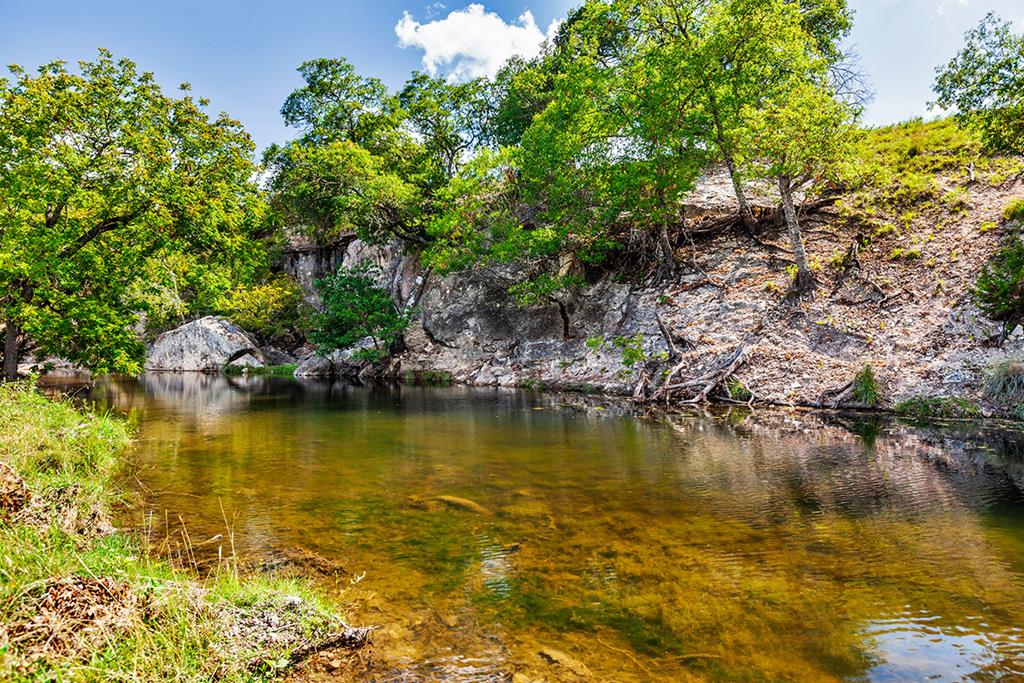 481 Living Water Ranch Rd