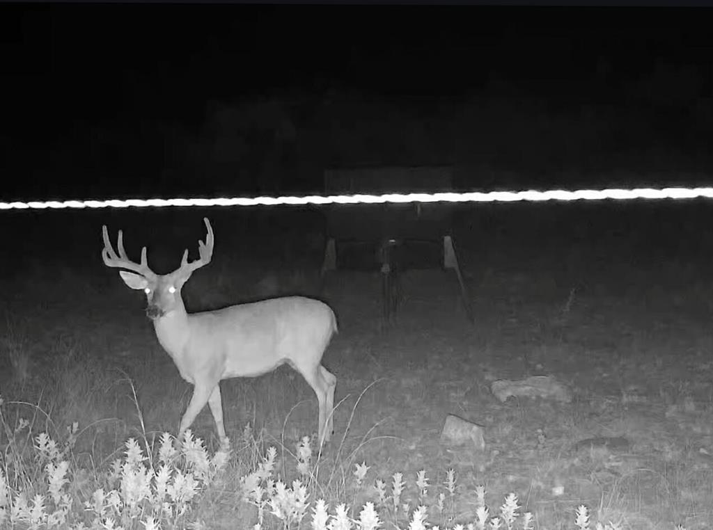 701 County Rd 496