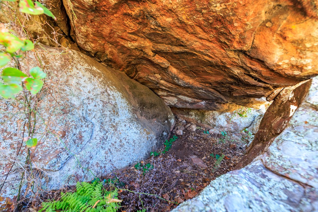 15528 Eaton Cemetery Rd