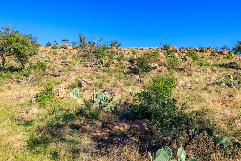 15528 Eaton Cemetery Rd