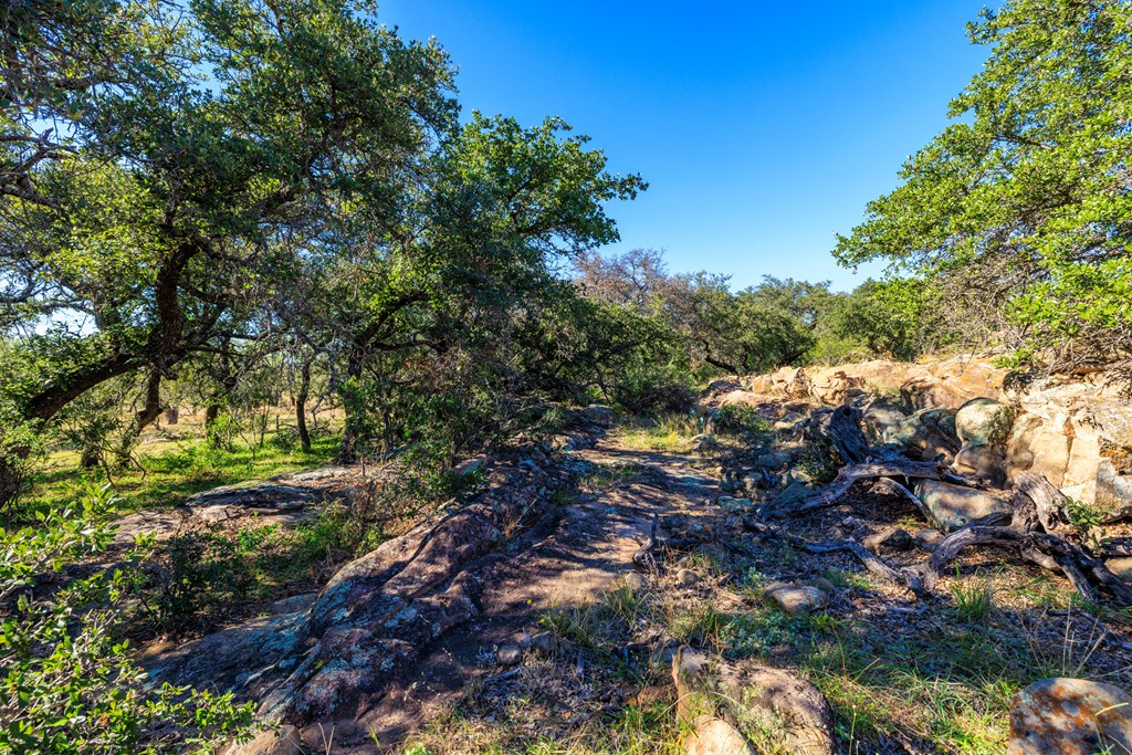 15528 Eaton Cemetery Rd