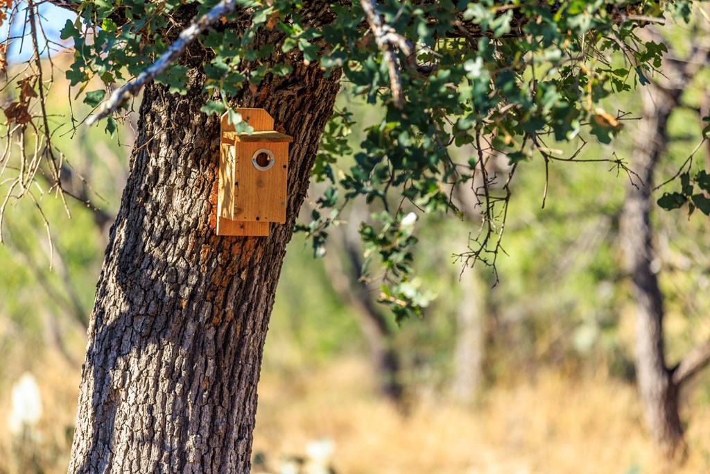 15528 Eaton Cemetery Rd